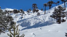 Imagen de Amaneció con un metro de nieve en un paraíso de la Patagonia, salió a caminar y el video es una belleza