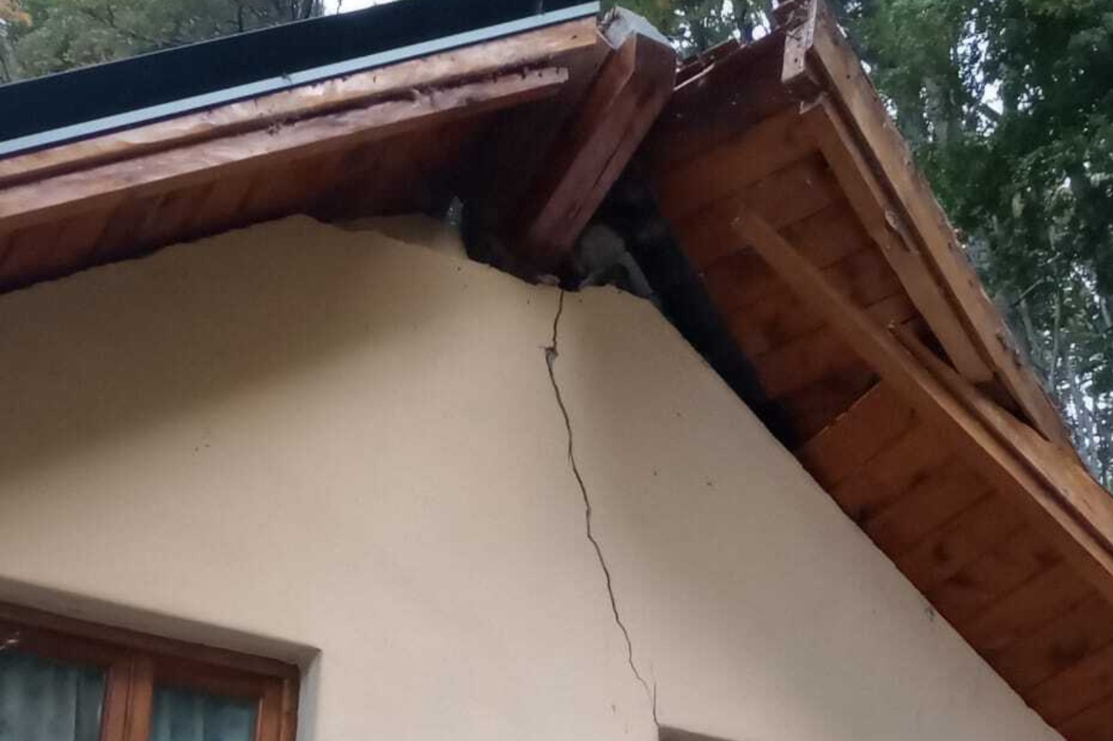 La caída de un árbol causó destrozos en una vivienda en Villa Tacul. Foto: gentileza.