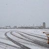 Imagen de Una capa de hielo complicó el aterrizaje de un avión en Bariloche: el aeropuerto ya está operativo