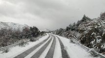 Imagen de Alerta amarilla por nevadas en la zona cordillerana