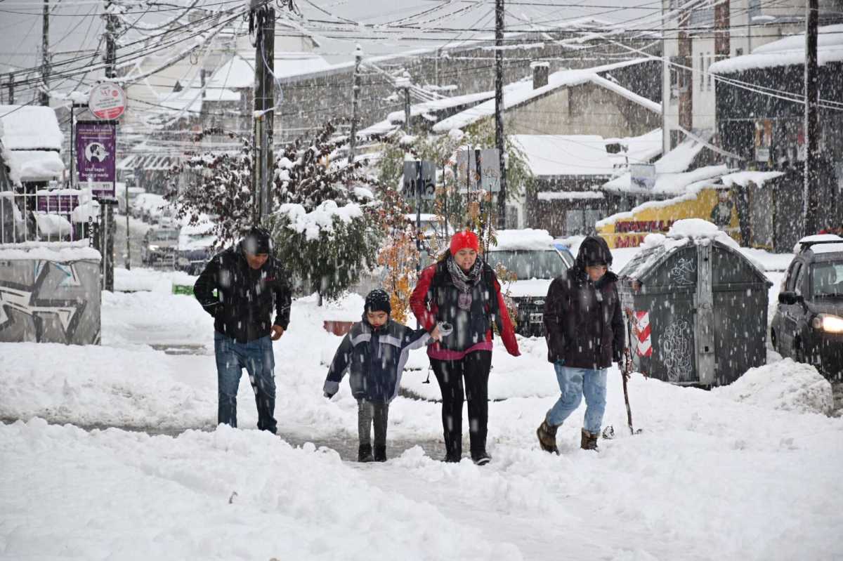 Nieve en Río Negro y Neuquén. Foto: Alfredo Leiva