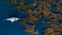 Province of Chubut, riding along the Patagonian Sea coast with baquiano: an extraordinary experience