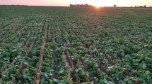 Imagen de El agua es clave en la productividad del agro