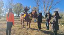 Imagen de Piden ayuda para refugiar a tres caballos en Choele Choel que hacen terapias con niños