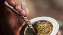 Imagen de Cómo hacer un mate perfecto: cinco tips para que lo disfrutes de la mejor manera