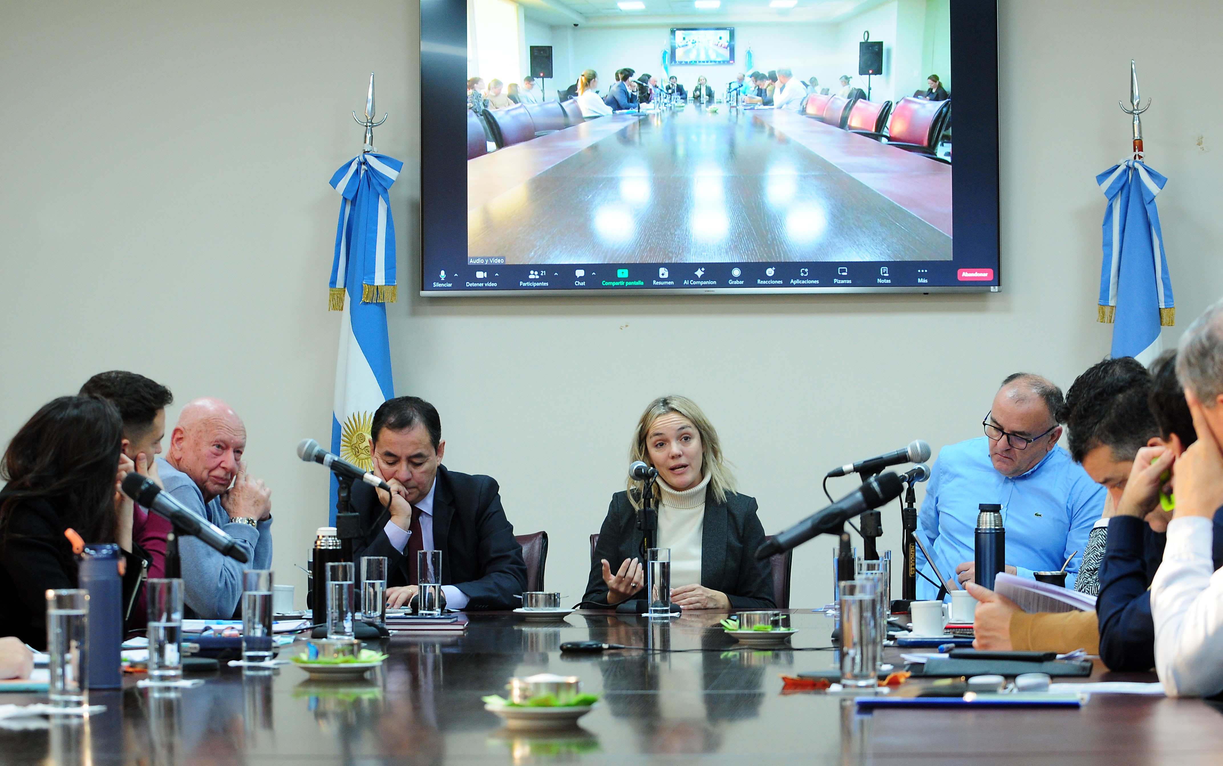 Sheila Lischinsky en la comisión A de la Legislatura de Neuquén. (Gentileza)