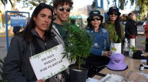 Imagen de Neuquén y Río Negro se sumaron a la Marcha Mundial de la Marihuana: los ejes del reclamo