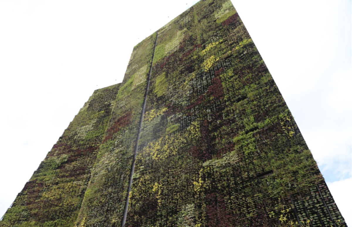 El jardín vertical del Ayuntamiento. Foto: Peter Yeung.