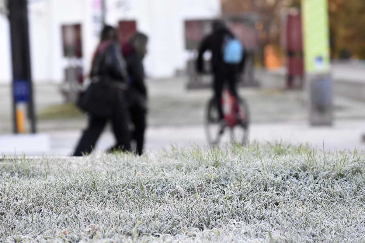 Neuquén entre las ciudades más frías del país. Foto: Matías Subat. 