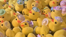 Imagen de Llegaron los patitos Kawaii a Neuquén y Río Negro: cuánto salen y dónde conseguirlos