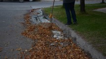 Imagen de ¿Qué hago con las hojas secas de otoño? Te explicamos por qué no hay que quemarlas