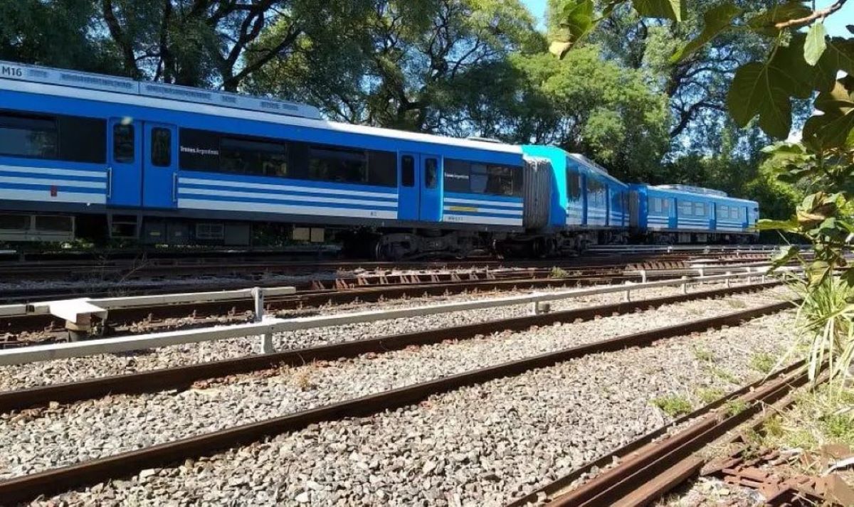 Por el momento,  personas fueron trasladadas, luego que descarrilara el tren. Foto: X @porqueTTarg