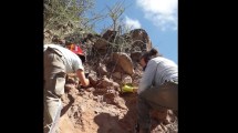 Imagen de Video | Revelan asombrosos datos sobre una mujer que vivió hace 600 años en Fernández Oro