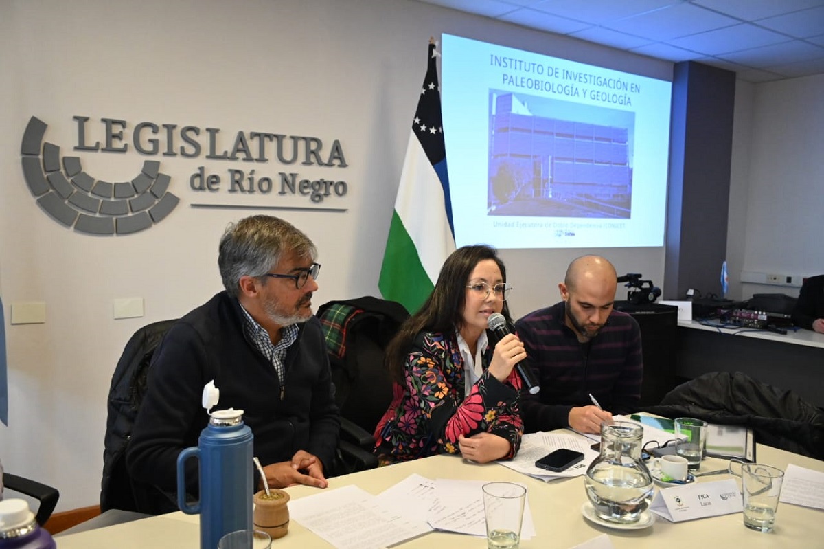 Daiana Neri estuvo en la reunión para explicar los alcances de la cesión. Foto: Marcelo Ochoa.