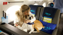 Imagen de Una aerolínea de vuelos vip para perros empieza a operar en mayo: mirá cómo es