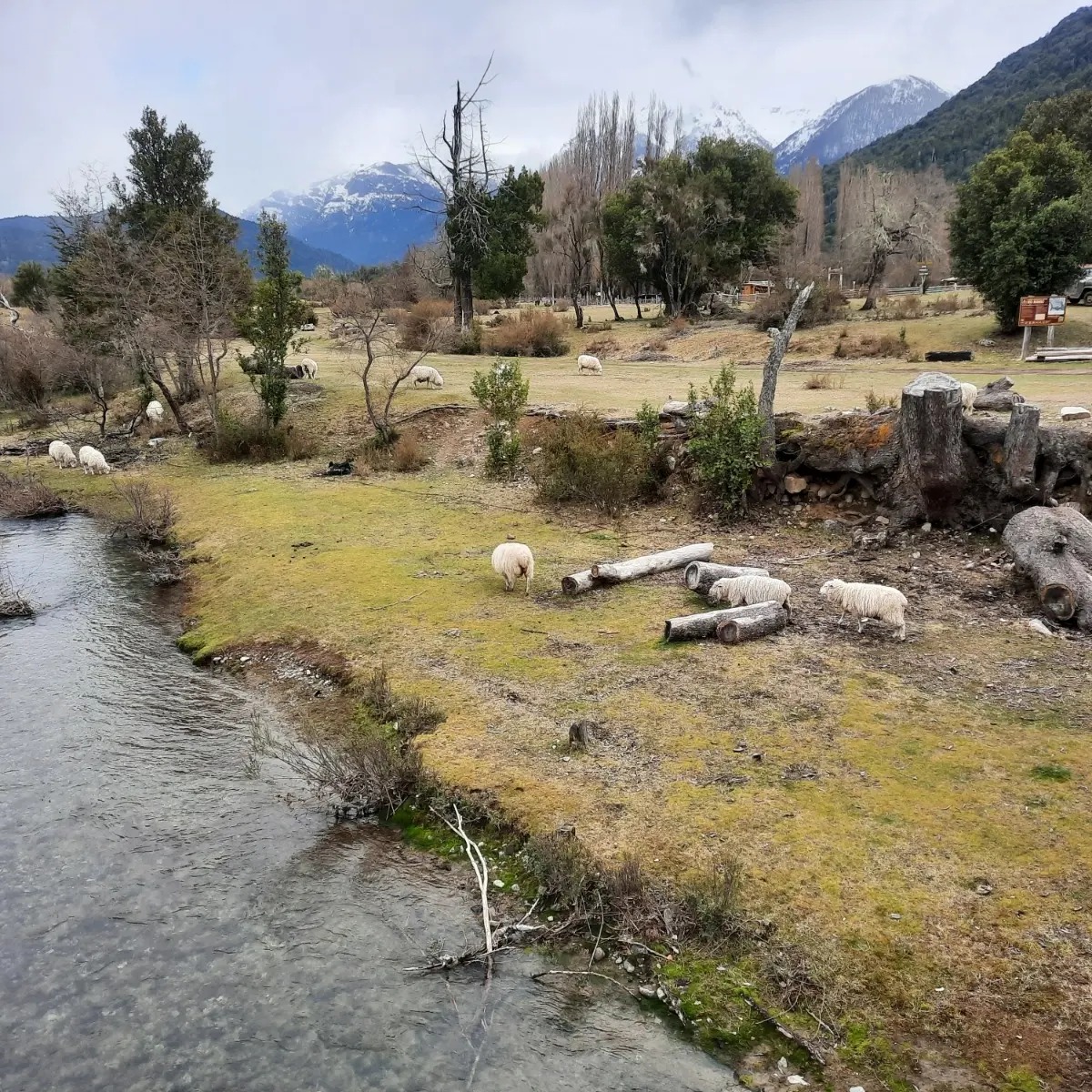 Los pobladores viven casi en el límite con Chile. Foto: gentileza