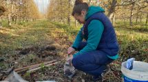 Imagen de Hacia una fruticultura con mayor valor agregado ambiental en el Alto Valle