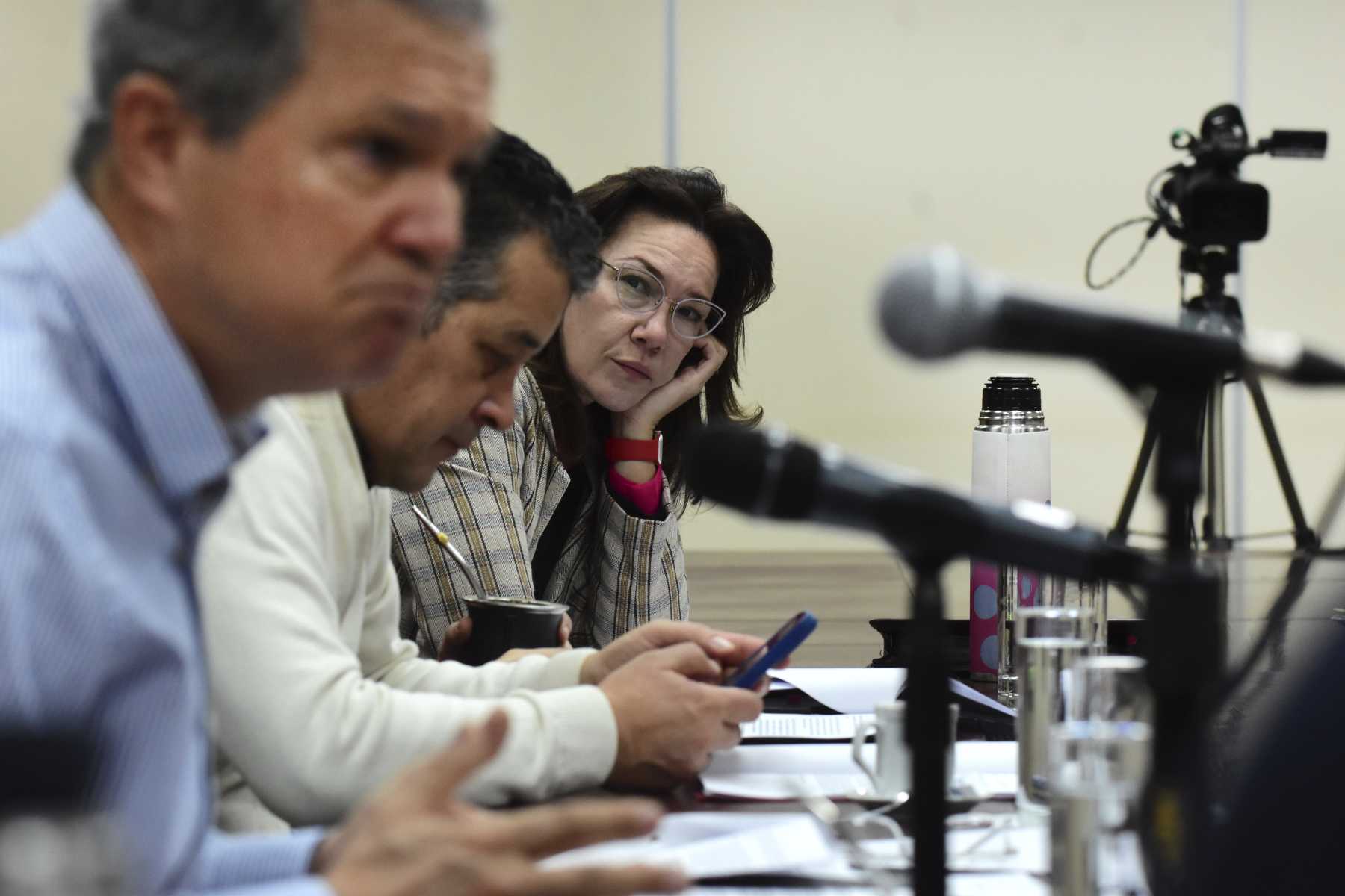 Brenda Buchiniz es la autora del proyecto de ley que se discute en la comisión de Asuntos Constitucionales de la Legislatura. Foto Cecilia Maletti.