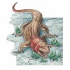 Imagen de Encontraron un lagarto de hace 70 millones de años que sobrevivió al meteorito que hizo desaparecer a los dinosaurios