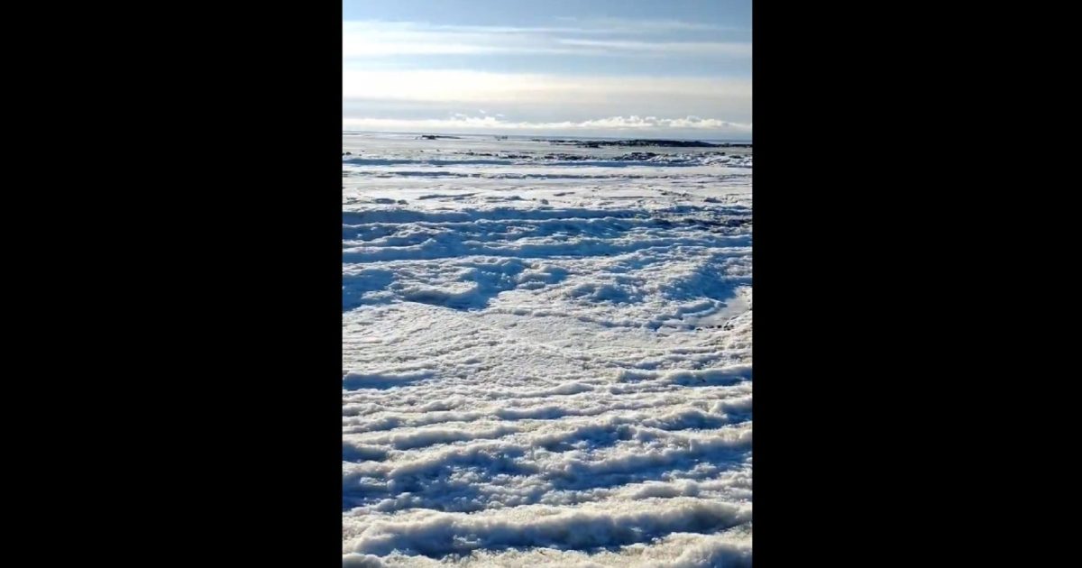 Video Extraño e impresionante fenómeno en la Patagonia: así se congeló el mar en Tierra del Fuego thumbnail