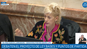 Video | García Larraburu en el Senado por la Ley Bases: «No voy a destruir la industria nacional ni regalar recursos con el RIGI»