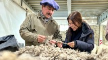 Imagen de Del corral de cabras de la Patagonia a las pasarelas de Japón y París