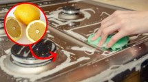 Imagen de Cómo dejar la cocina reluciente con limón, un aliado de la limpieza para tener en cuenta