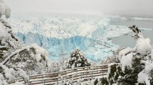 Imagen de Glaciar Perito Moreno: épica caminata entre la nieve rumbo a la postal más linda de la Patagonia