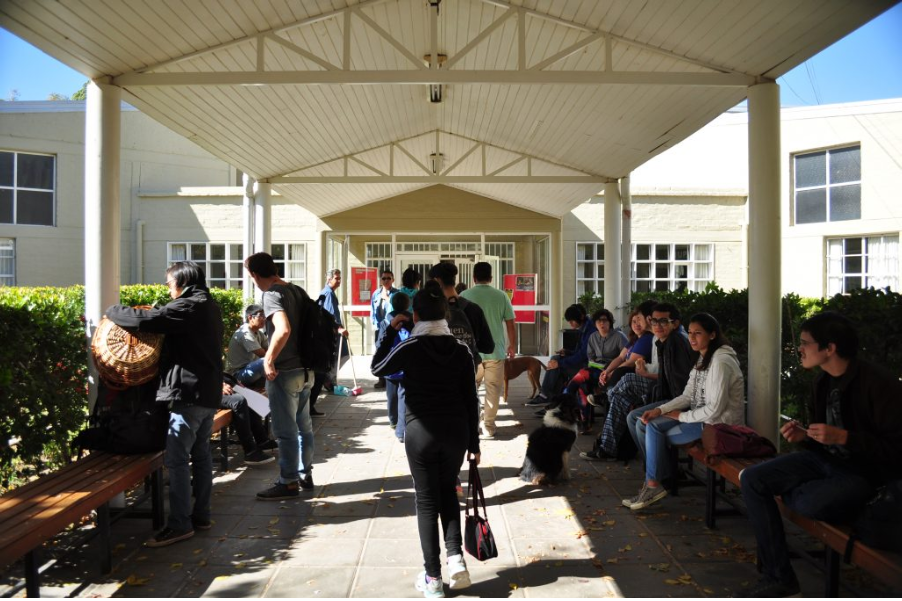 Estudiantes de IUPA realizarán clases públicas en Roca, en protesta por las condiciones precarias de cursada. Foto IUPA.