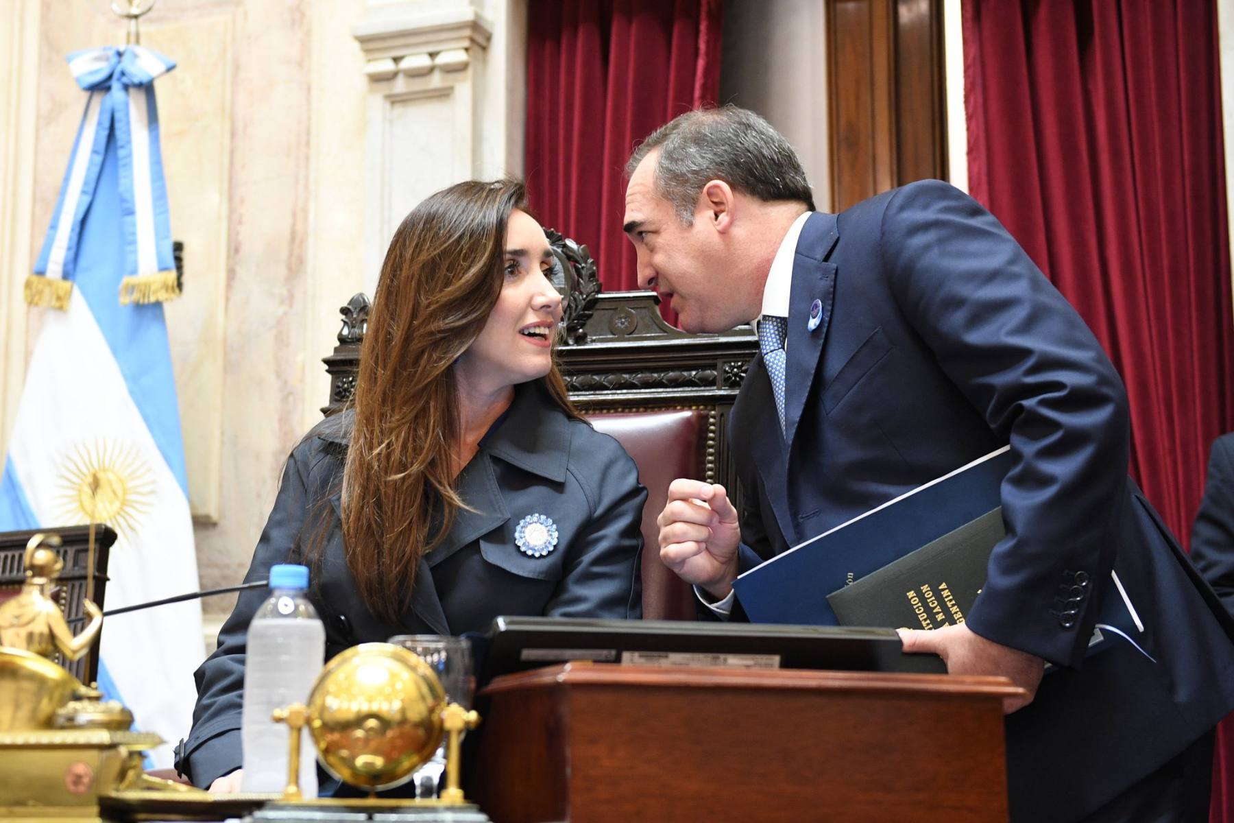 Tras una maratónica sesión, el Senado aprobó la Ley Bases, en general. Foto Senado.