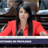 Imagen de Ley Bases en Diputados, en vivo: Villaverde contra Doñate por sus dichos a Milei, agradeció a Weretilneck y defendió el RIGI