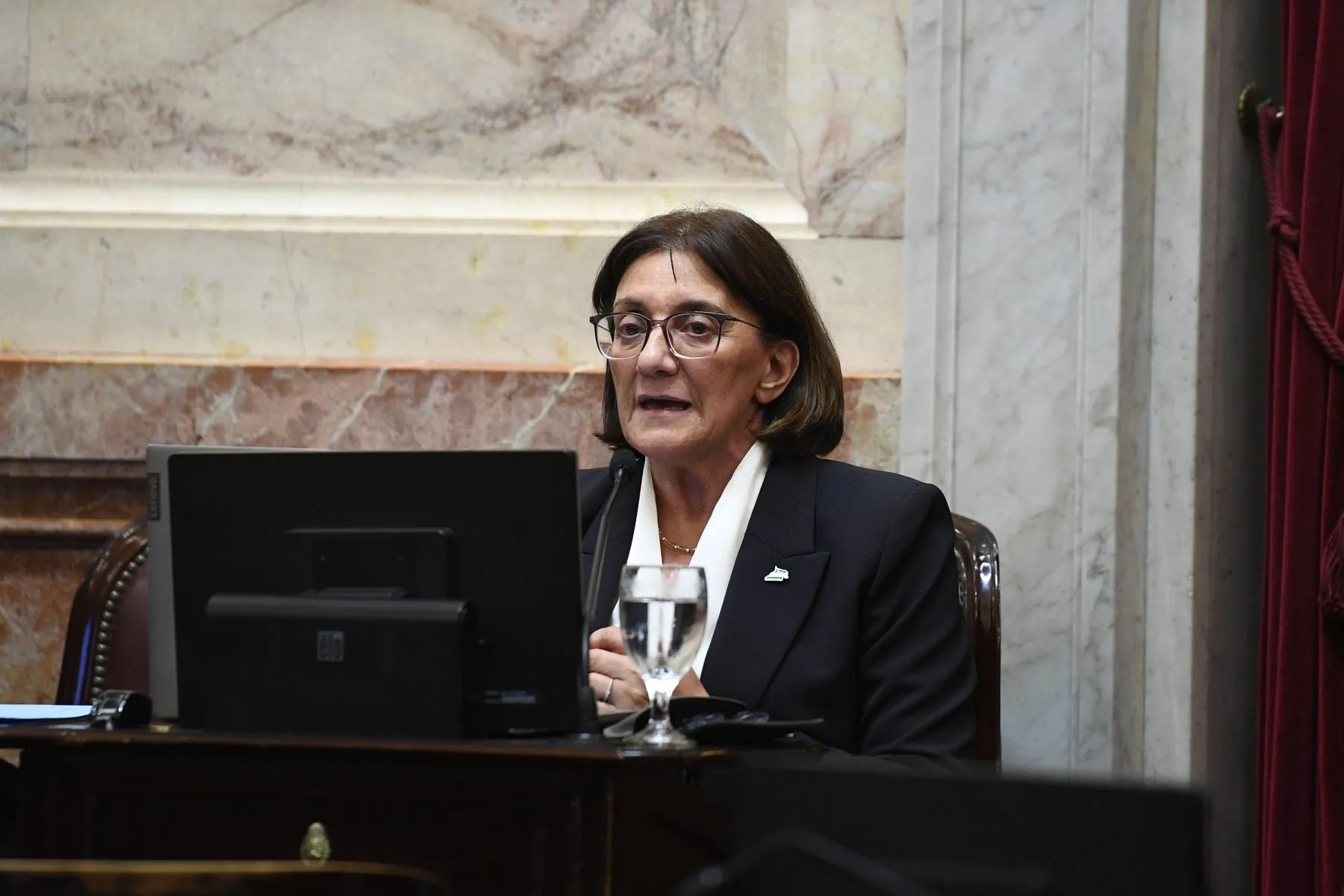 Silva durante su alocución en el Senado de la Nación. Foto: archivo.