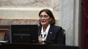 Ley Bases: Pedro Pesatti justificó el voto de la senadora Mónica Silva