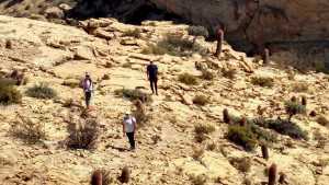 El sorprendente Valle de los Cactus de la Patagonia: un plan para el finde largo en el norte neuquino