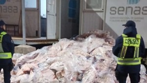 Transportaba 7500 kilos de carne de forma ilegal en un camión de La Pampa a Cipolletti