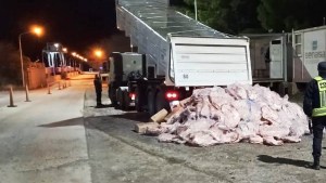 Video: transportaba 7800 kilos de carne de forma ilegal en un camión de La Pampa a Cipolletti