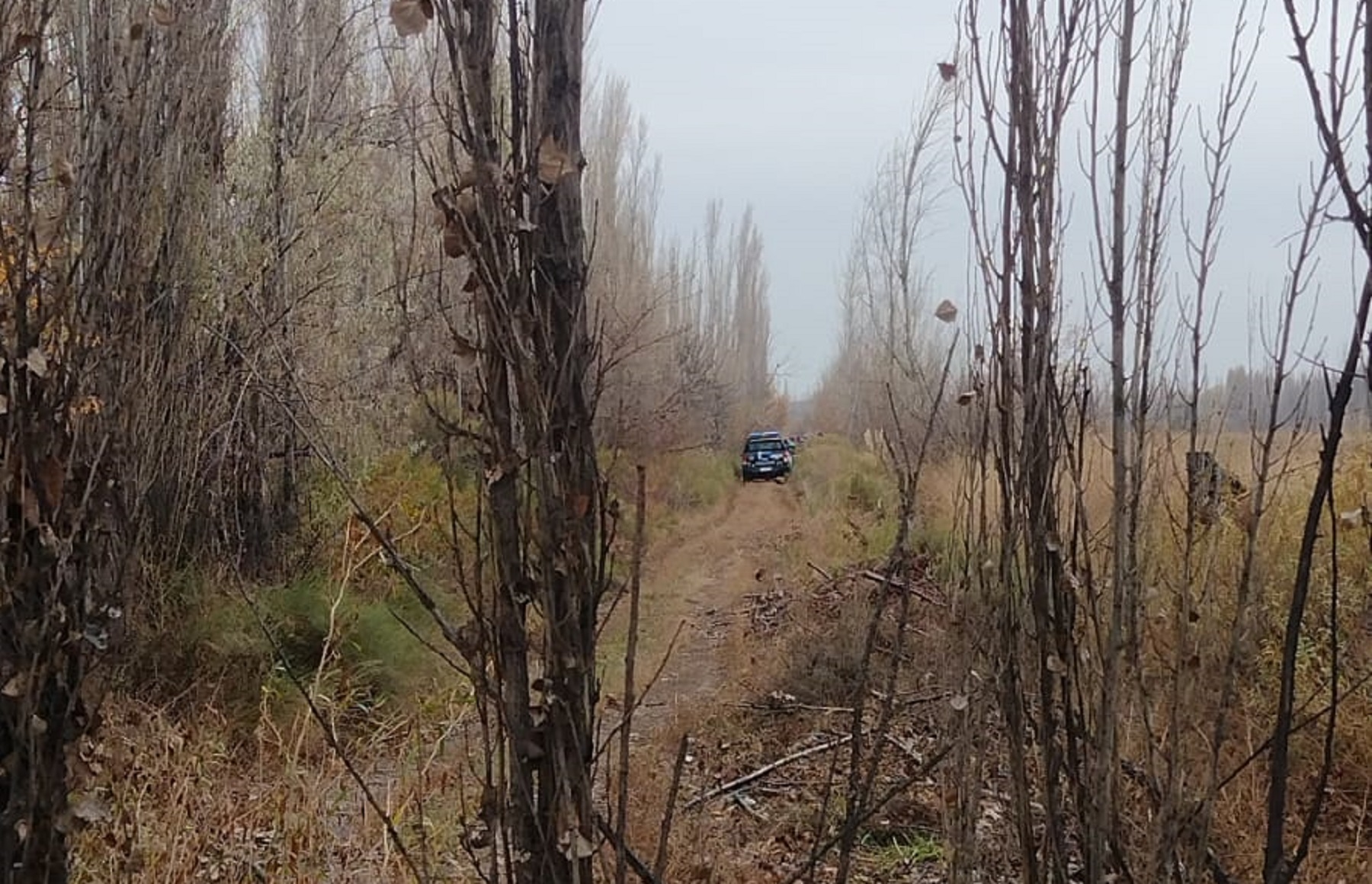 El cuerpo fue hallado este martes en una zona de chacras de Cipolletti. Foto: gentileza Policía de Río Negro. 