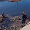 Imagen de Video | Un rescate especial en Roca: bomberos salvaron a un perrito atrapado en el Canal Grande
