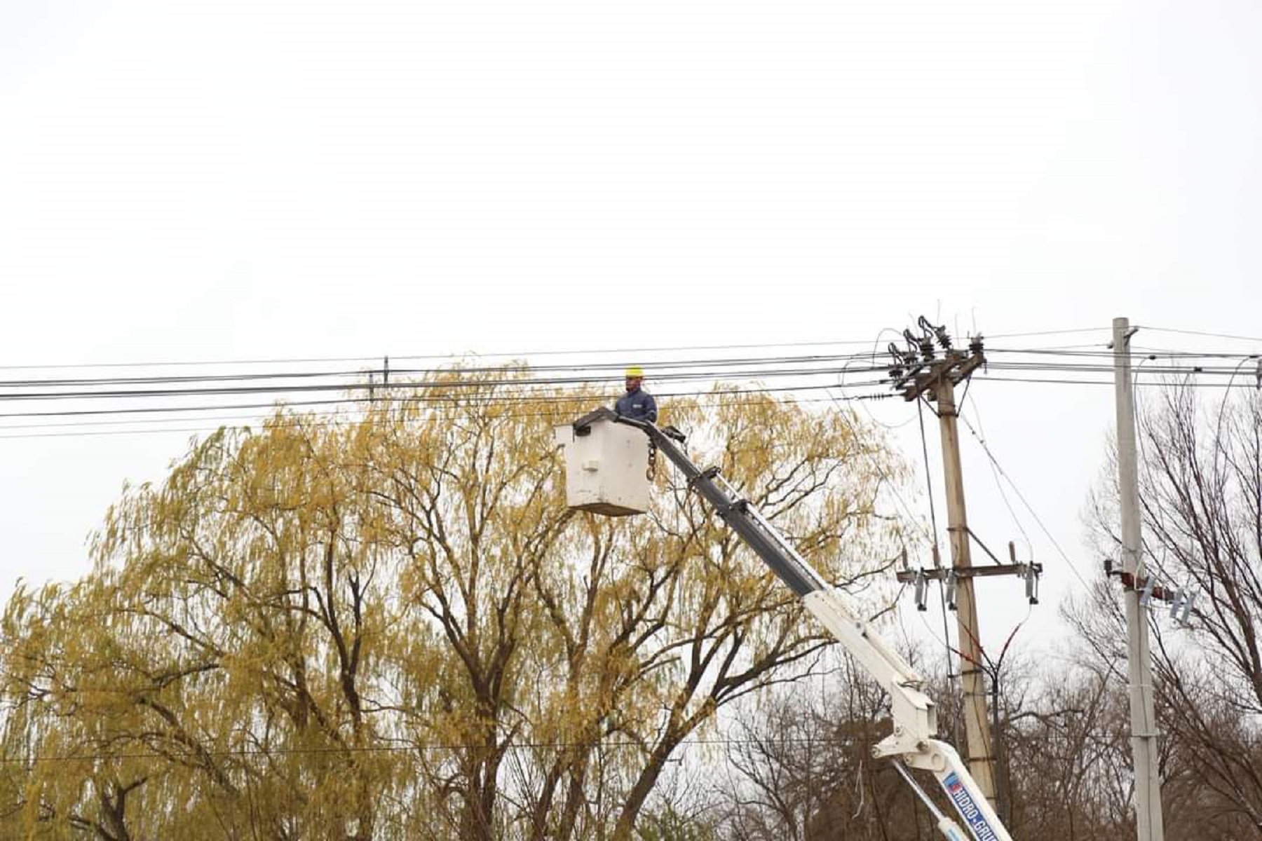 La empresa realizará trabajos de poda y realizará cortes programados de luz. Foto Gentileza Edersa