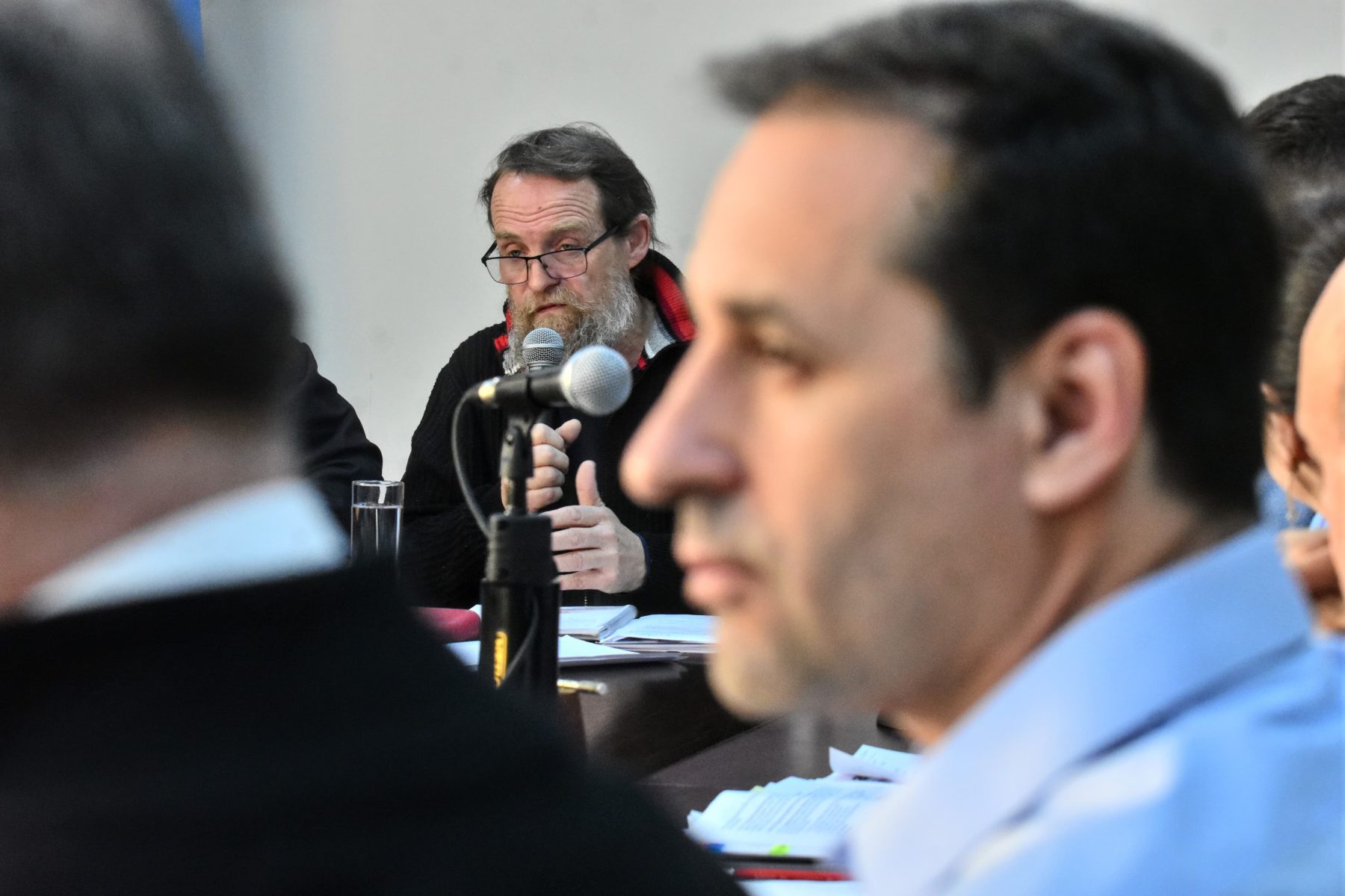 Domínguez fue el diputado del bloque que introdujo el tema para pedir que se gire a las comisiones. Foto Cecilia Maletti.