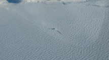 Imagen de Un piloto aterrizó de emergencia en una laguna congelada en Chubut: espera el rescate a la intemperie