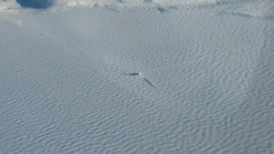 Un piloto aterrizó de emergencia en una laguna congelada en Chubut: espera el rescate a la intemperie