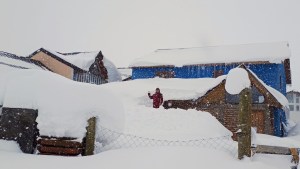 Video | Caviahue bajo nieve: así palean Valentina y Lucía para salir de sus casas después del temporal