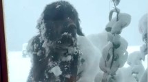 Imagen de Rolo, el perrito más simpático para pedir comida y mimos en la nieve de una joya de Neuquén: «Siempre consigue lo que quiere»