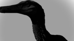 Misterioso dinosaurio de Neuquén será presentado este viernes: «Es un hito en la paleontología»