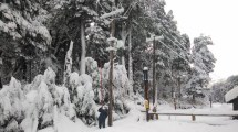 Imagen de El temporal de nieve en Neuquén dejó una situación crítica en el servicio de energía eléctrica