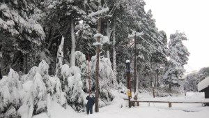 El temporal de nieve en Neuquén dejó una situación crítica en el servicio de energía eléctrica