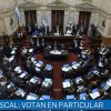 Imagen de Impuesto a las ganancias: cómo votaron los senadores de Neuquén y Río Negro
