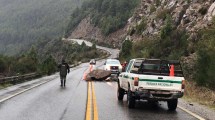 Imagen de Cayeron piedras sobre la Ruta 40 en la zona de Siete Lagos: piden máxima precaución al transitar