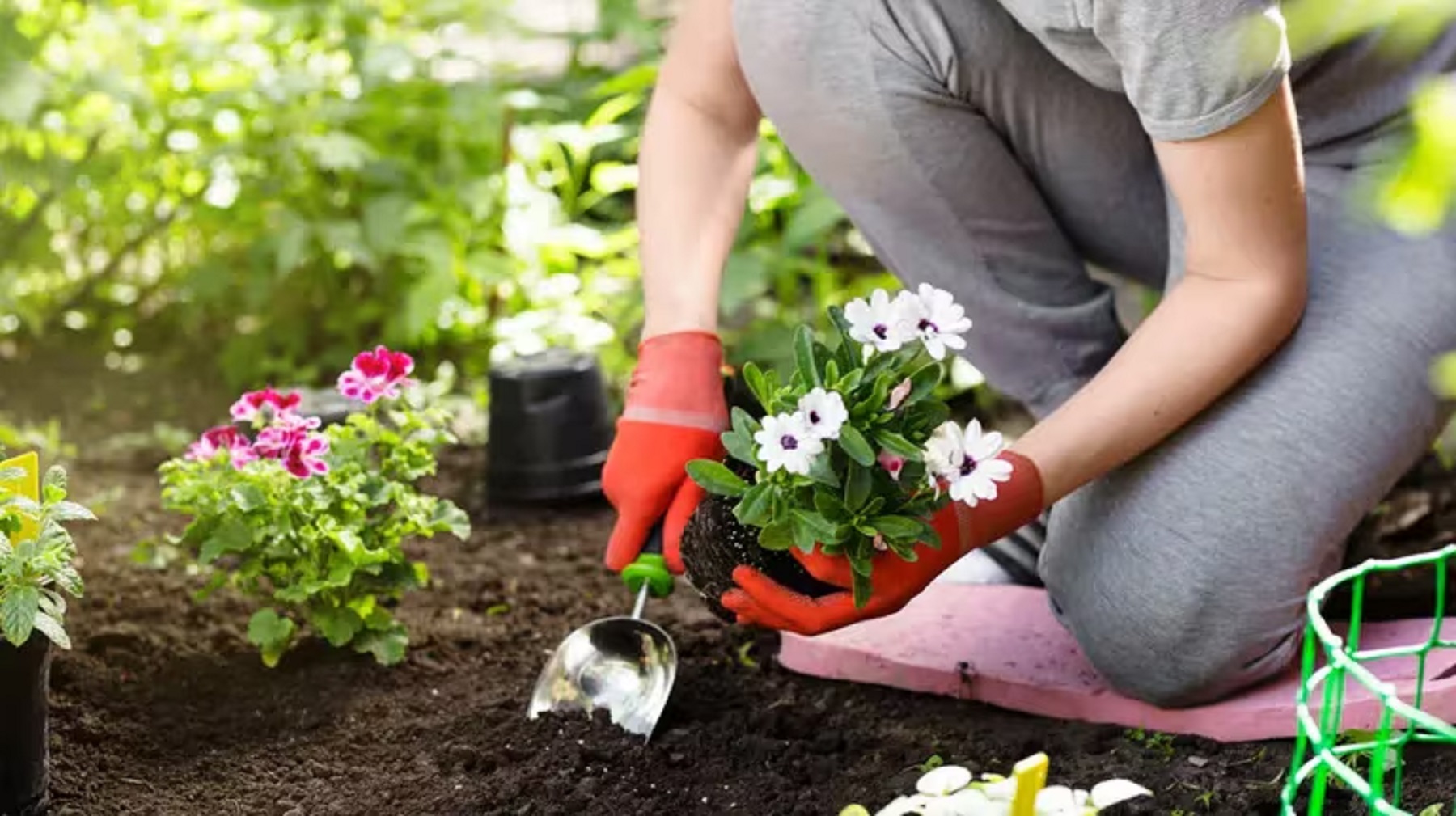 La jardinería puede traer grandes resultados en el otoño.-